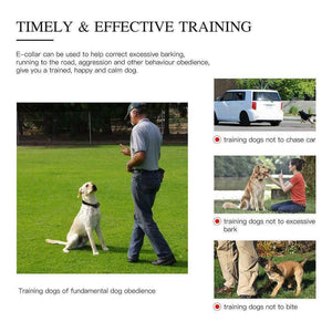 Ejoy-Dog Shock Waterproof  Remote Dog Shock Training Collar Rechargeable